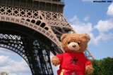 Paris bear