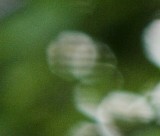 CZJ Sonnar 2.8/200