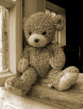 The Sorrowful Eyes of Plush Bear .jpg