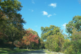 GW Parkway October 25, 2006 Fall Colors are coming - 15.jpg