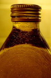 Oil of Olive