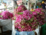 Bangkok Flower Market