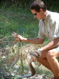 Dave, our guide, proudly shows off an African Rock Python he captured
