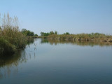 Picturesque waters of the Delta