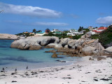 Penguins among the boulders that give the beach its name