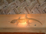 Geckos inhabit the buildings on Fafa Island