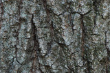 Leesylvania State Park, VA