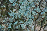 Leesylvania State Park, VA
