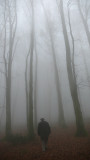 il cammino
