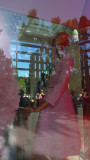 Valentino Day's, Ara Pacis