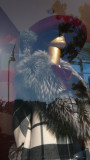 Valentino Day's, Ara Pacis