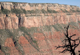 Along the South Kaibab Trail #1