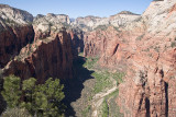 View of Zion Canyon from Angels Landing #1