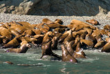 Crowded Beach