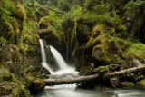 Virgin Creek Falls