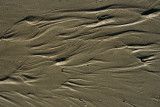 Sand Abstracts