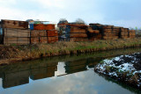 DSC08791 w.JPG