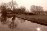 DSC08921 w.JPG