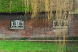 DSC08930 w.JPG