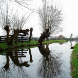 DSC08905a w.JPG