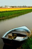 Blue boat, yellow fields