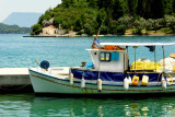 DSC00228a w.JPG