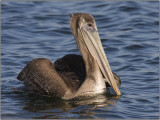 CRW_0164.jpg
