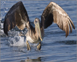CRW_0291.jpg