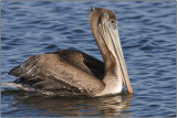 CRW_0354.jpg