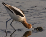 CRW_2320.jpg