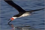 CRW_5589.jpg