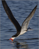 CRW_5591.jpg