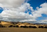 Golden Hills