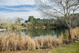 Ellis Lake Park