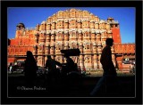 Jaipur Shadows