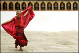 Young monk