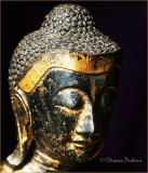 Buddhas Face
