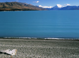 Lake PukakiShp_sized.jpg