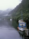 Manapouri-shp.jpg