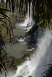 Iguazu Falls from Argentina