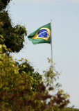 Brazil Flag, The Pantanal