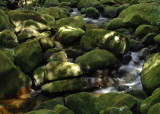 Creek in Serra dos Organos National Park