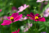 IMG_8198.jpg