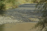 Umatilla River