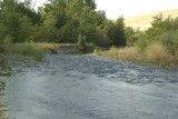 Umatilla River