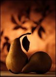 <b>2nd</b><br> Harvest*<br>by Techo