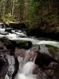 Wading *