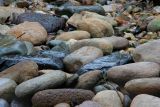Rocks *