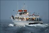 The Party Boat