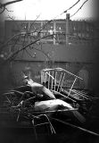  <b>7th</b><br>Discards<br>by Mary Anne